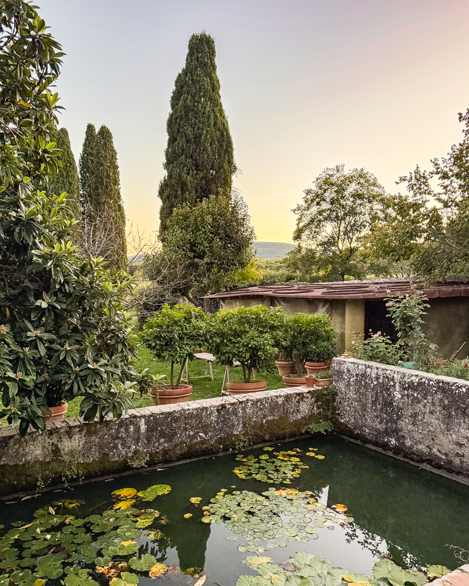 lily pad pond in stone courtyard garden at dusk artist reference photo artist reference photo