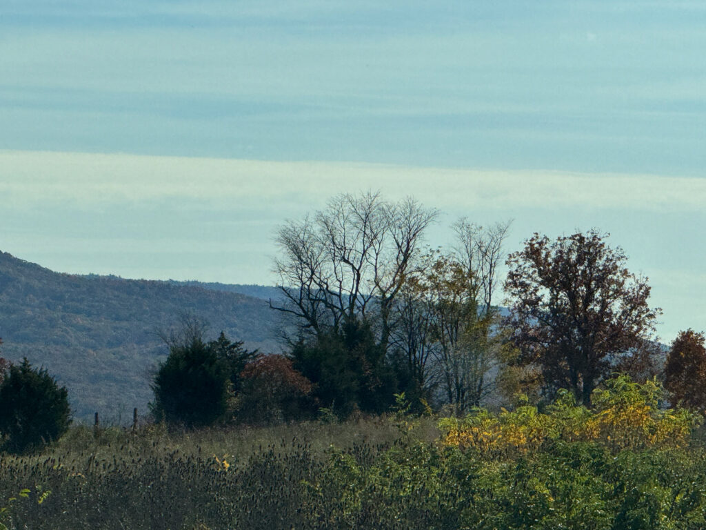 Mountainscapes