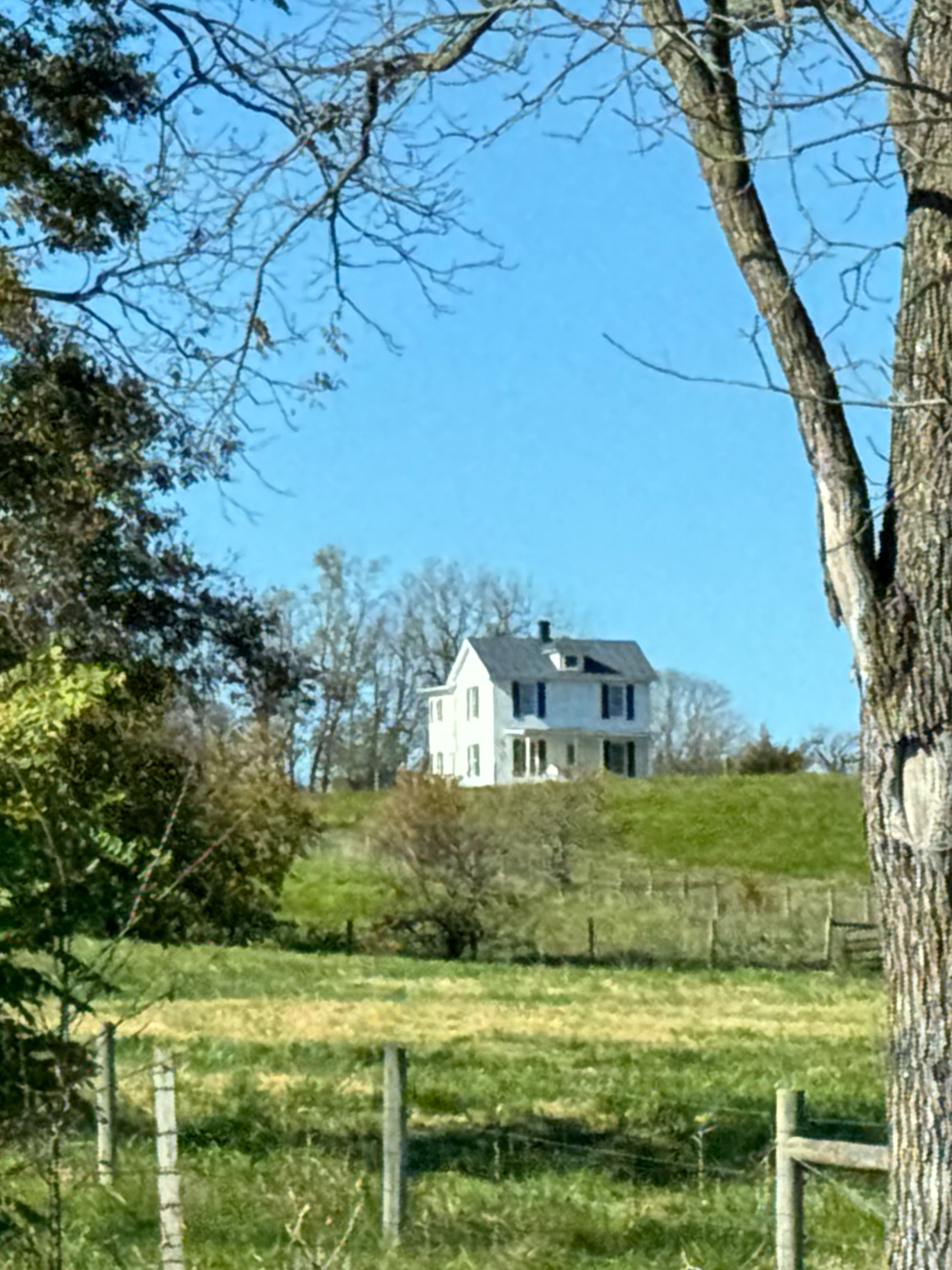 White Farmhouse on Hill with Tree Framing artist reference photo