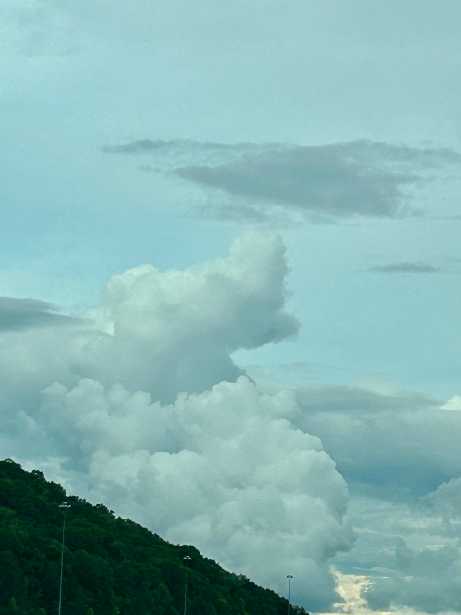 billowing cumulus clouds over green hillside artist reference photo