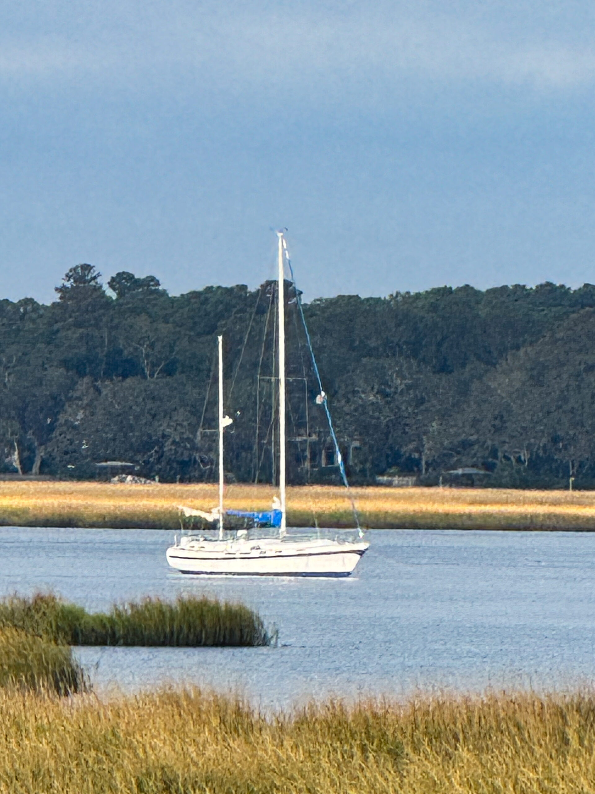 close up sailboat in marsh water with golden reeds and forest background artist reference photo
