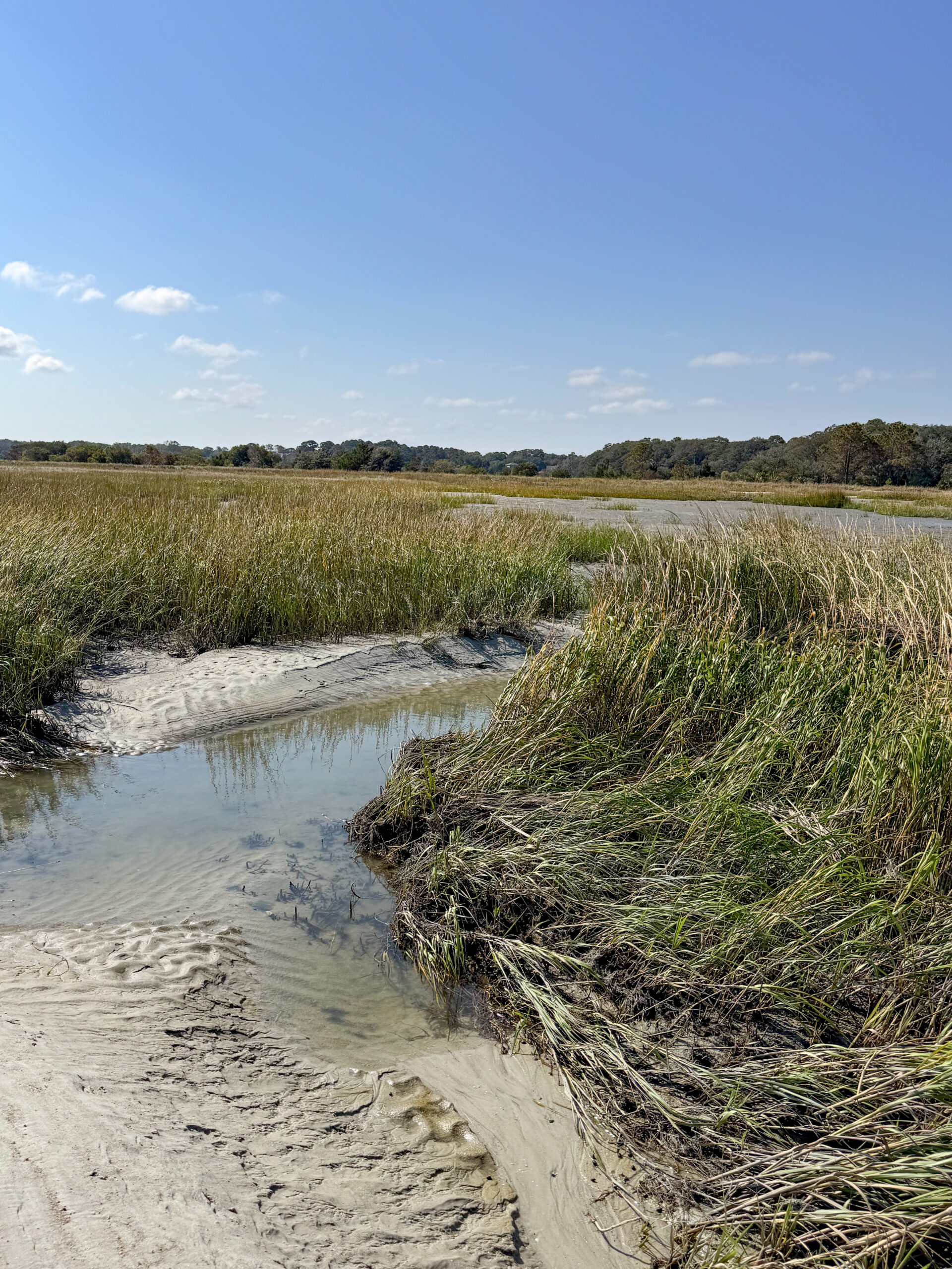 coastal marsh with tidal creek and textured sandbank artist reference photo