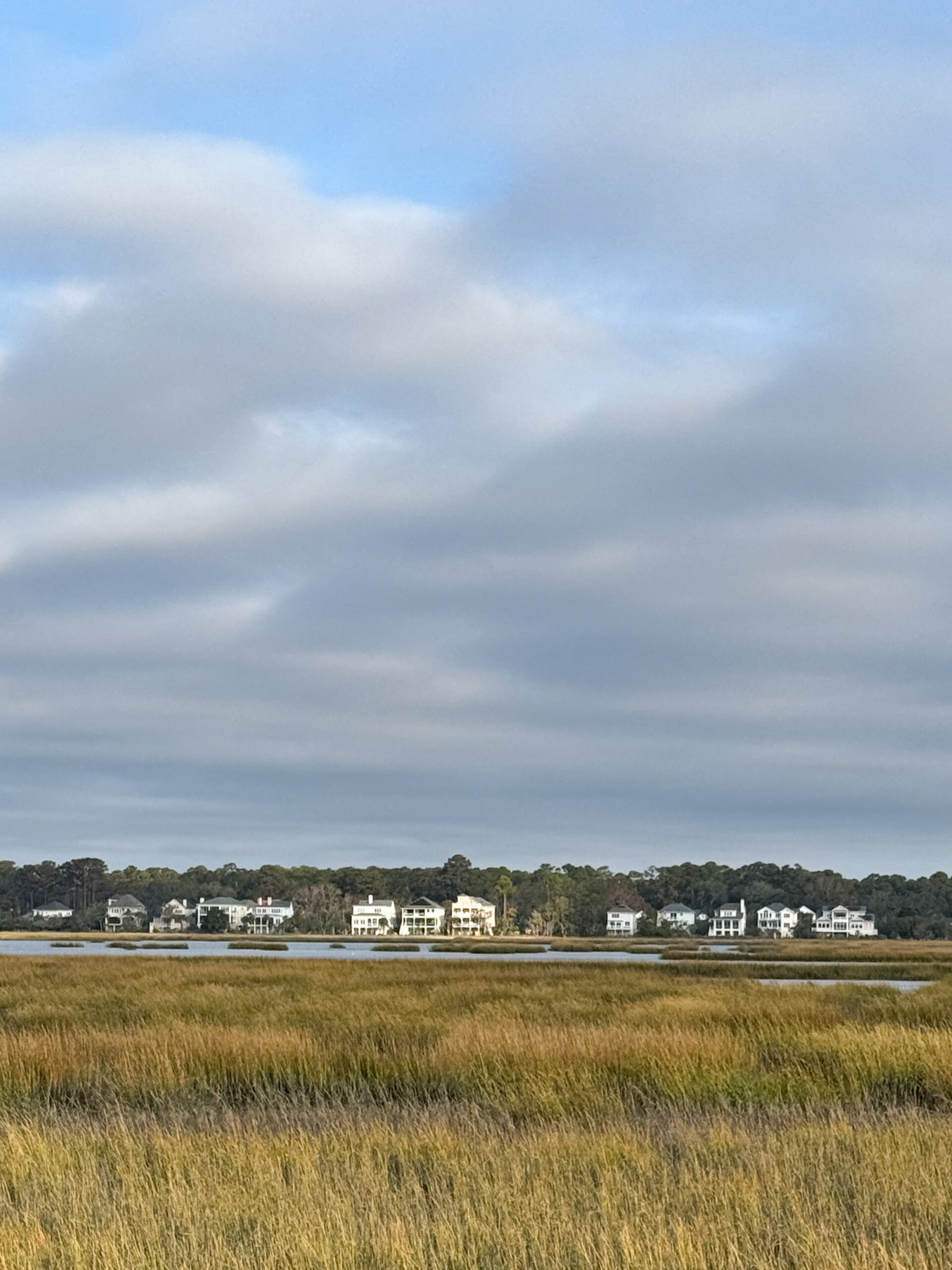 coastal neighborhood across marsh with golden grass and cloudy sky artist reference photo