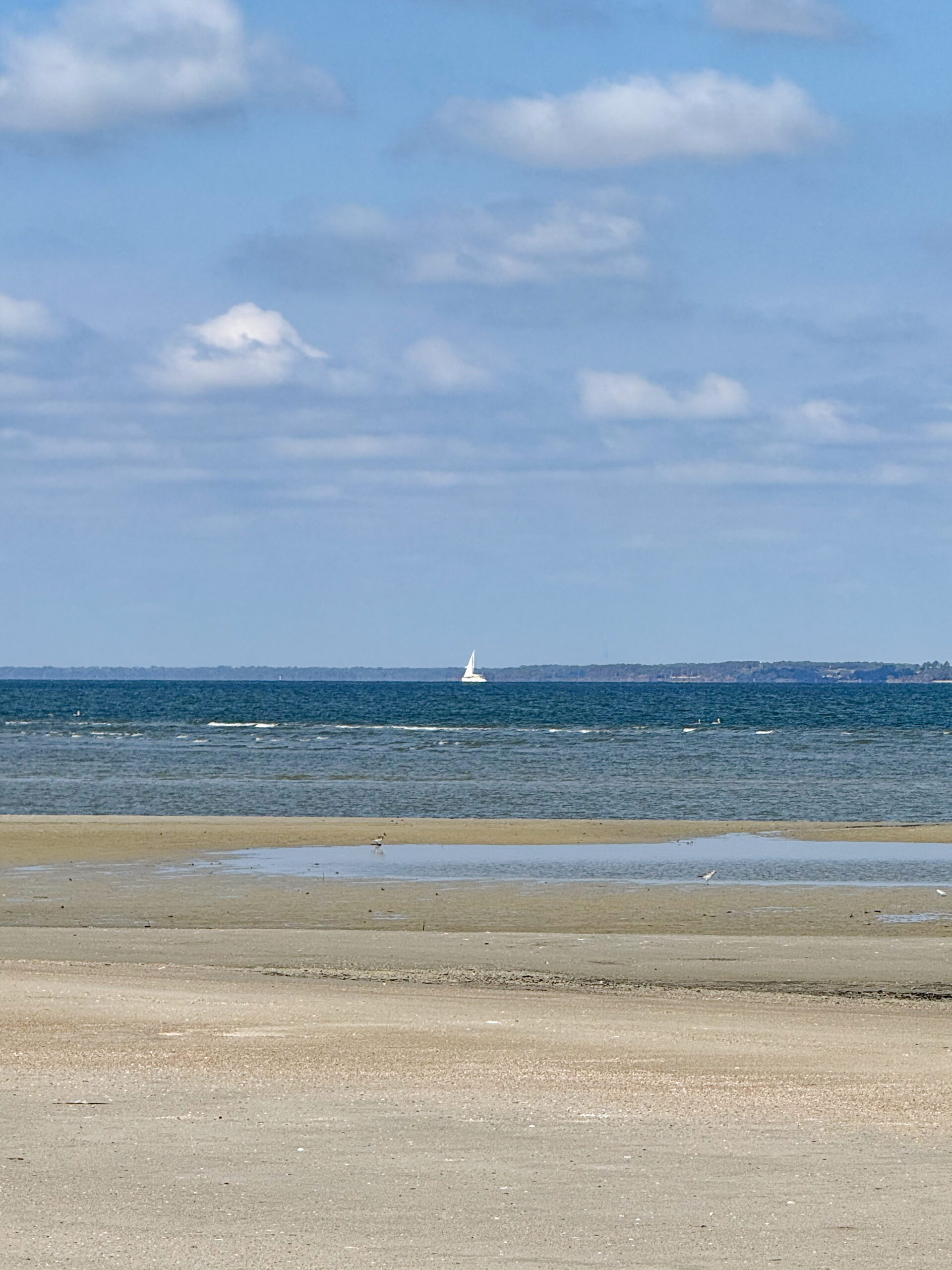 distant sailboat on ocean with cloudy sky and sand flats artist reference photo