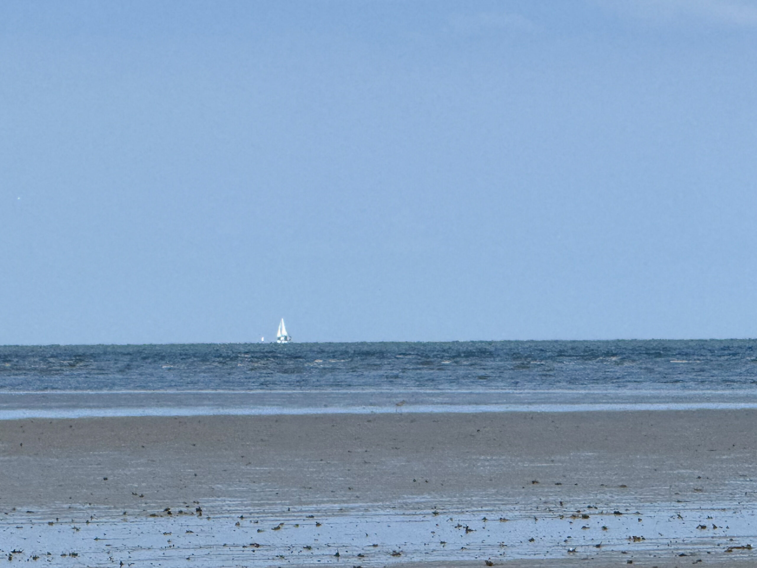 distant sailboat on open ocean viewed from sandy shoreline artist reference photo