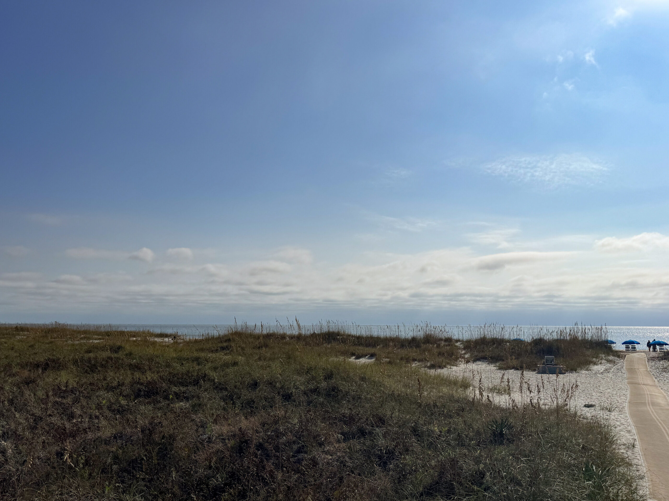 dune grass beach path leading to ocean with blue umbrellas under morning sky artist reference photo