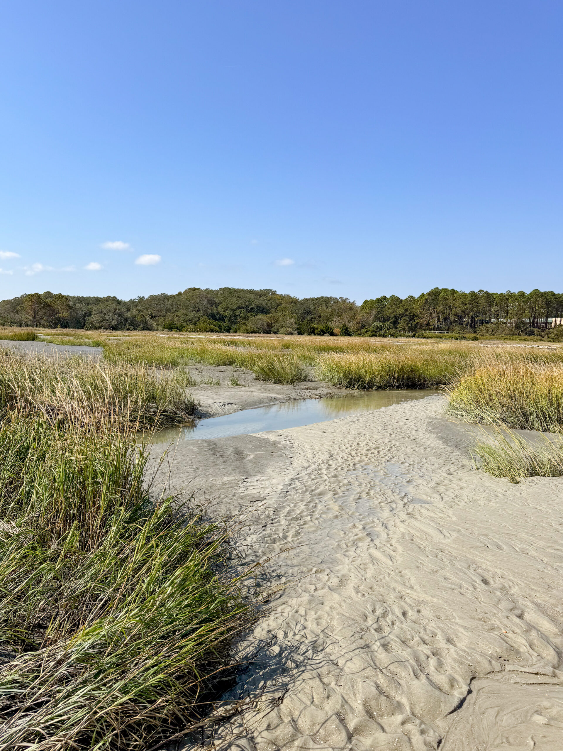 marsh landscape with textured sand trail and tidal pool artist reference photo