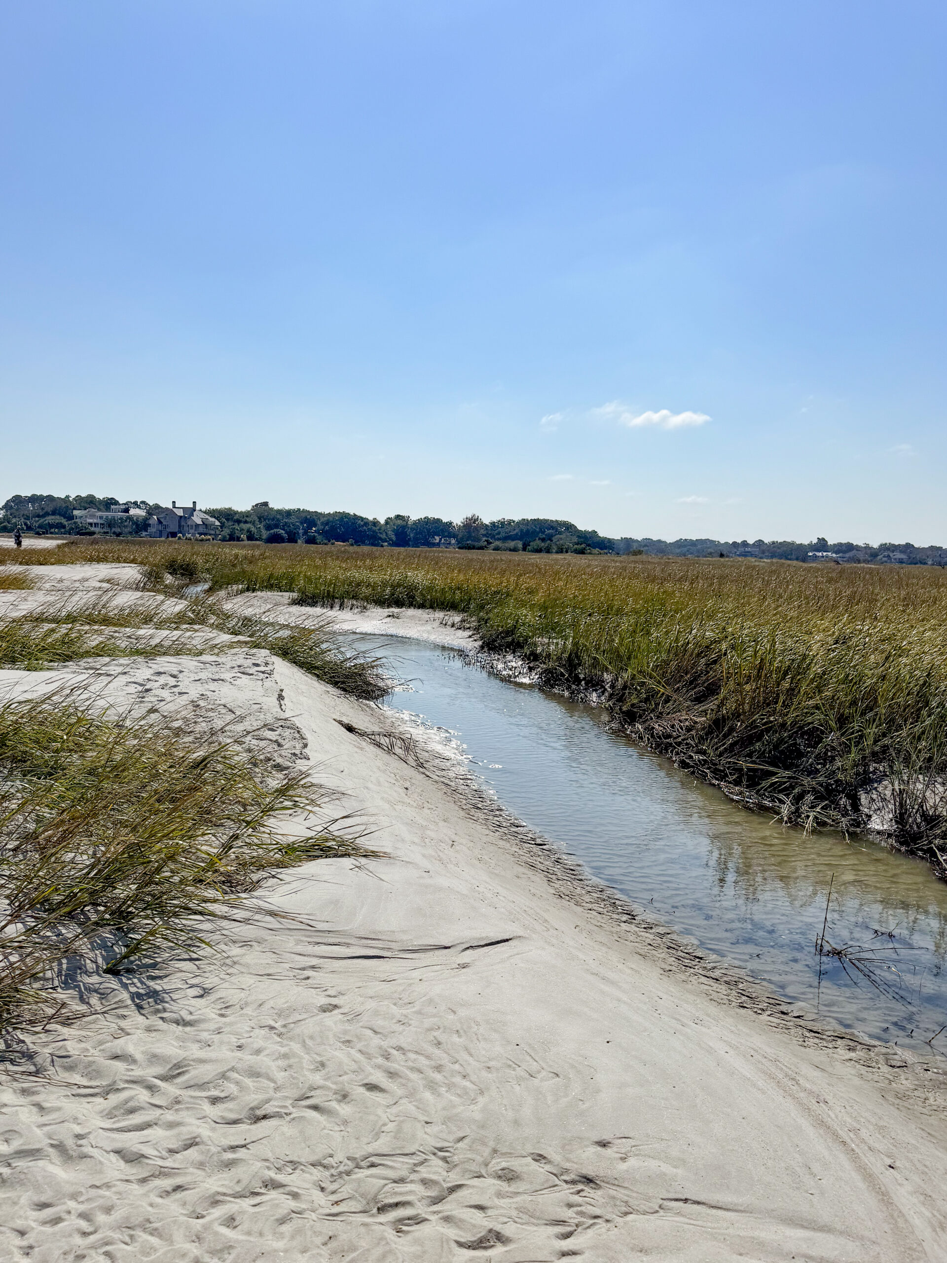 narrow tidal stream winding through sandy marsh with distant houses artist reference photo