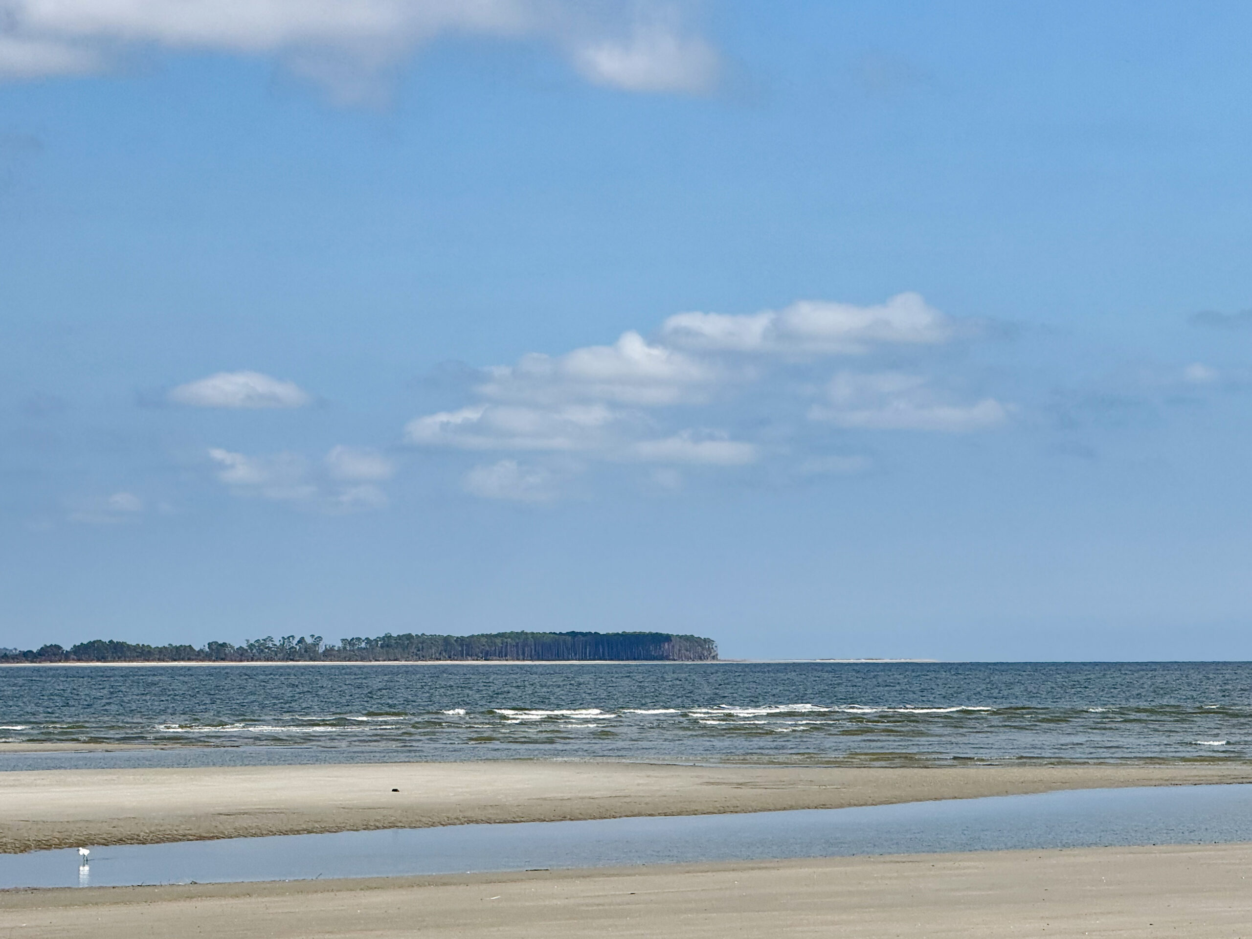 ocean shoreline with shallow waves and distant tree island artist reference photo