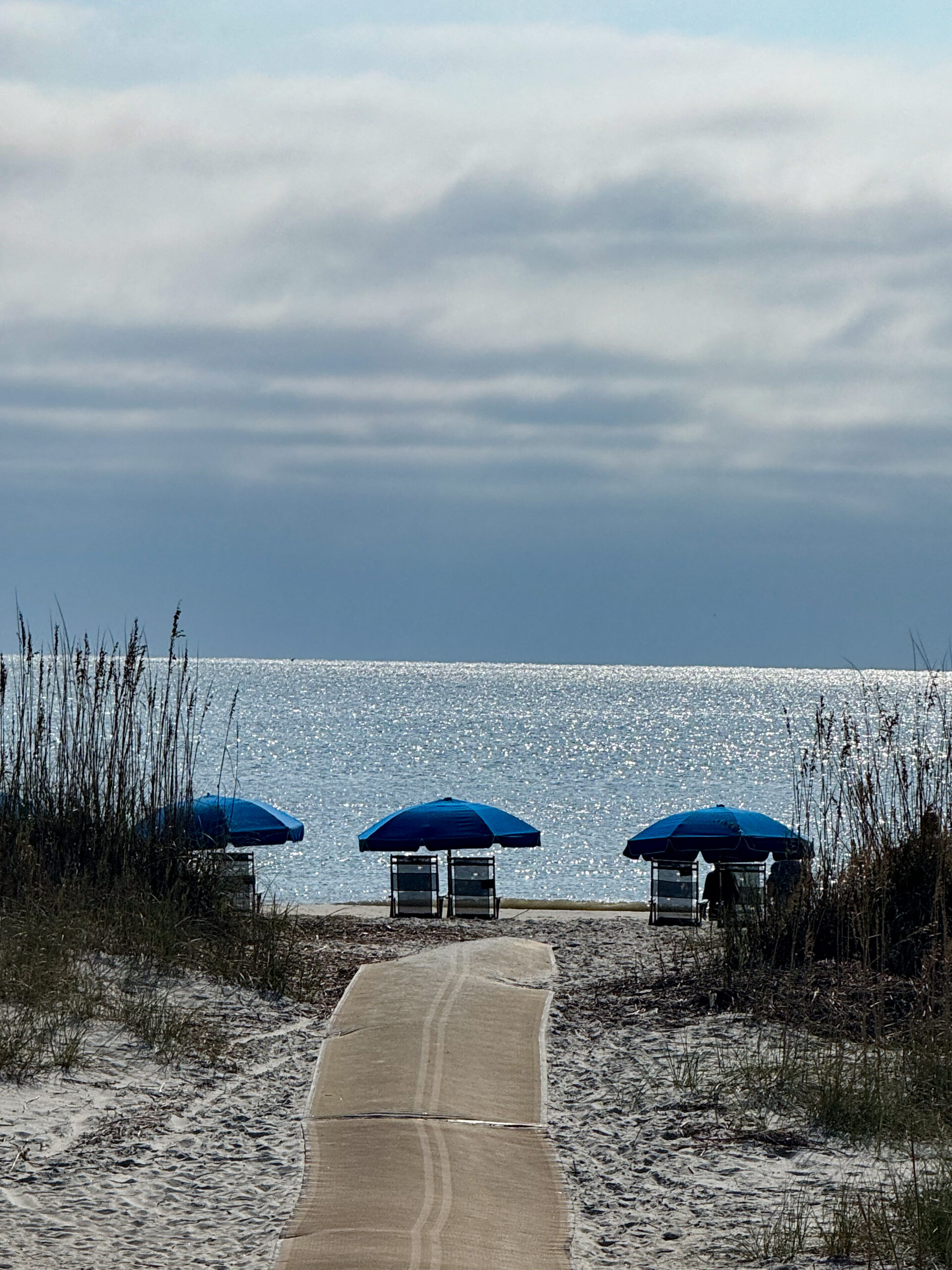 pathway to beach with blue umbrellas and chairs sparkling ocean view artist reference photo