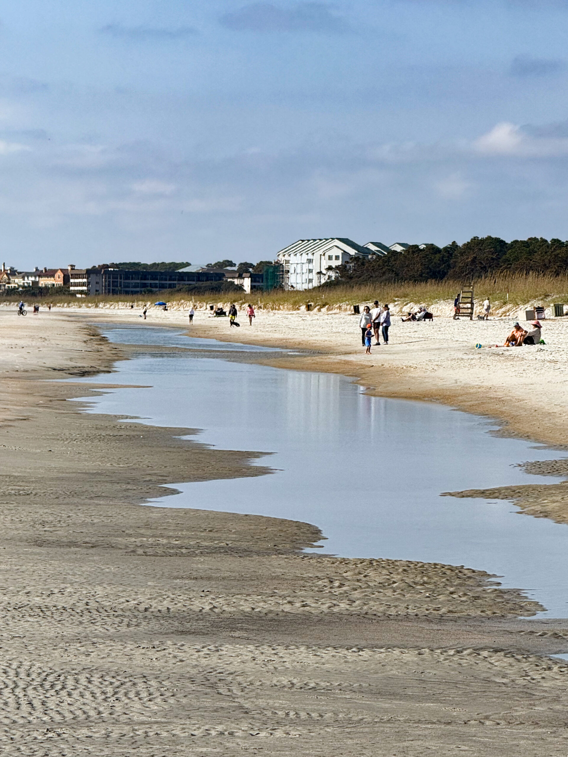 people walking along shoreline with tide pool on sandy beach artist reference photo