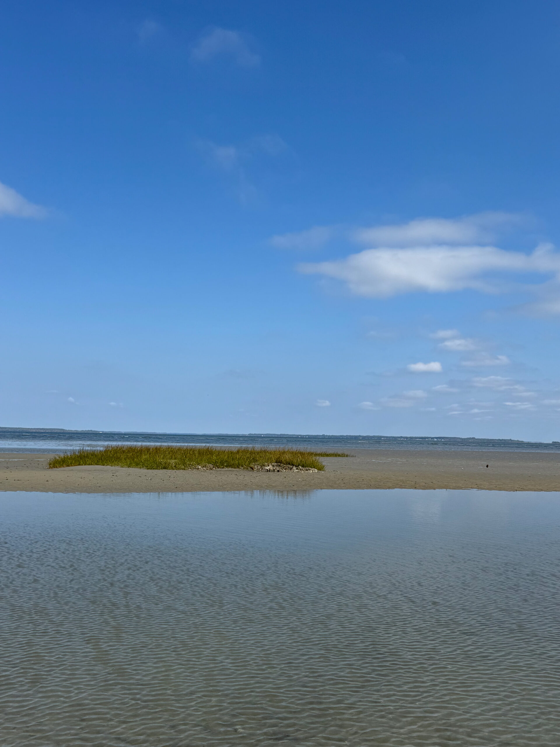 rippling tidal pool with isolated marsh grass island under blue sky artist reference photo