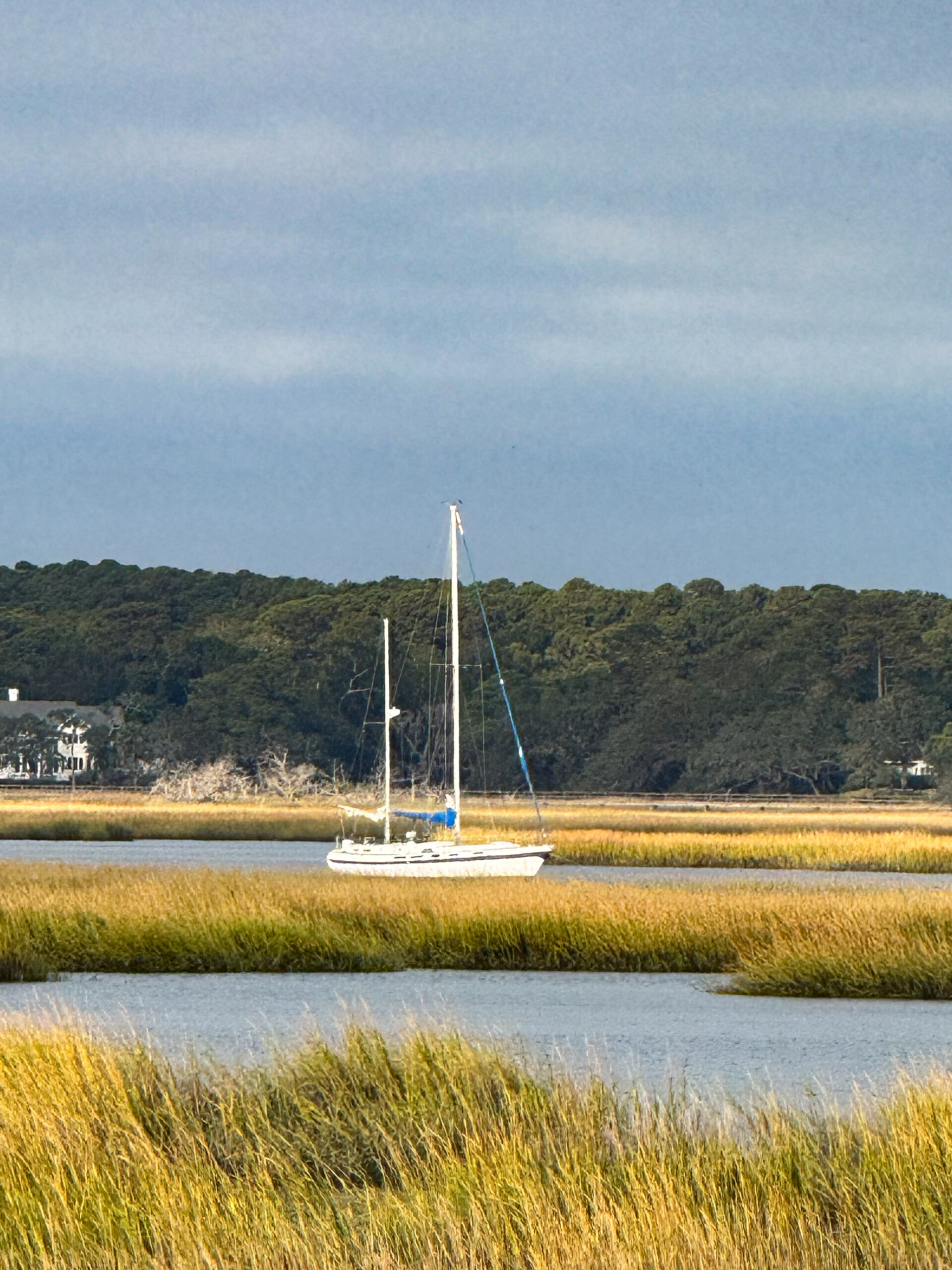 sailboat anchored in coastal marsh with golden reeds and forested backdrop artist reference photo