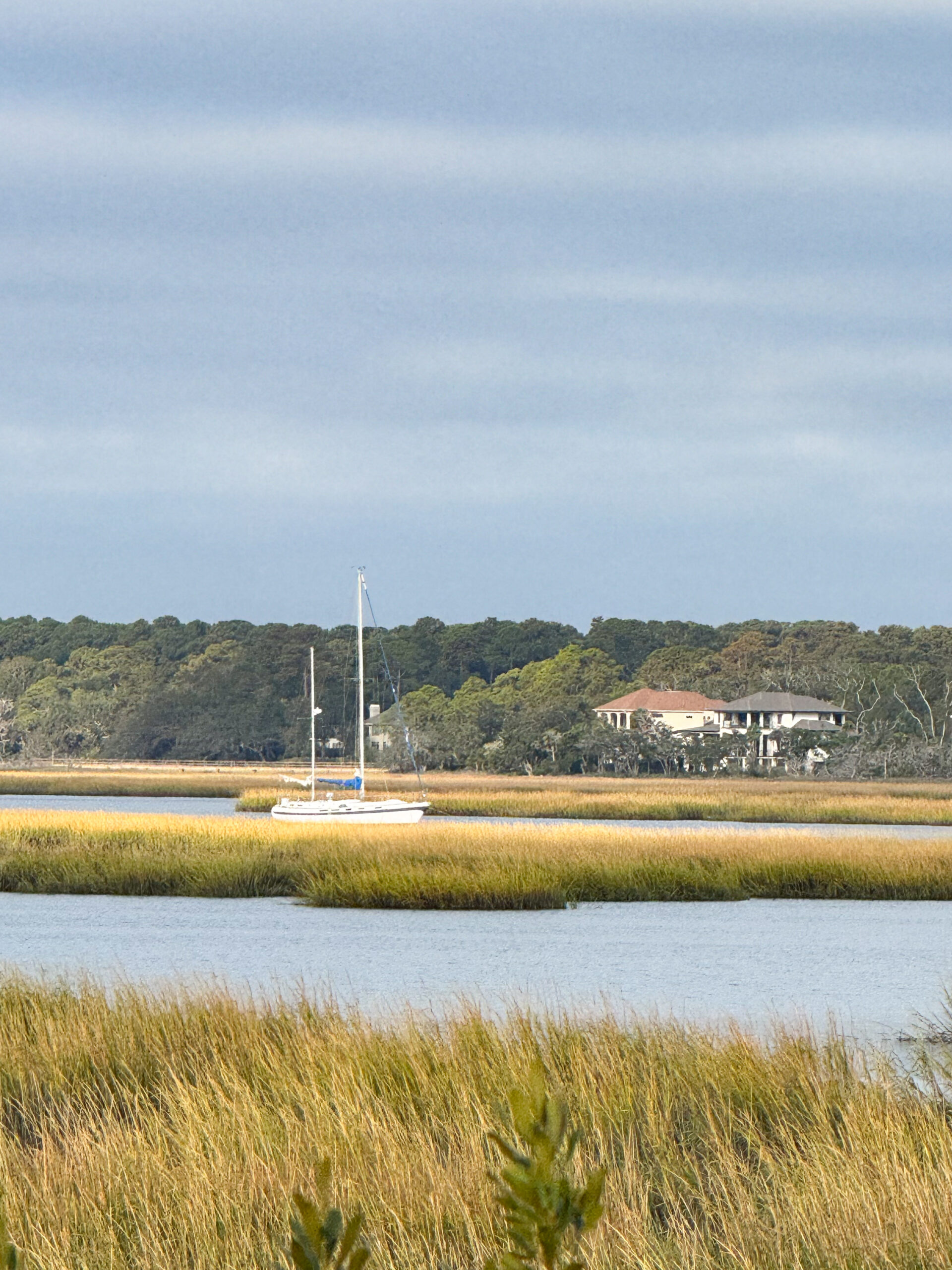 sailboat anchored in marsh water with tall grass and forest backdrop artist reference photo