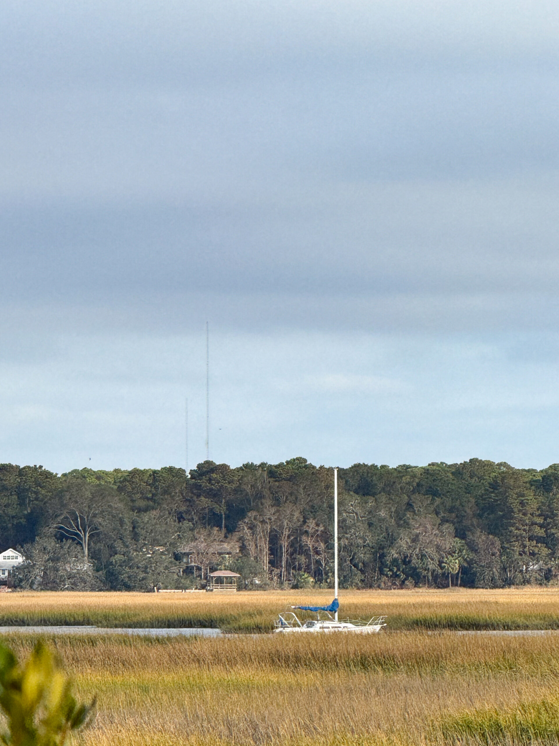 sailboat docked in coastal marsh with tall grasses and forest background artist reference photo