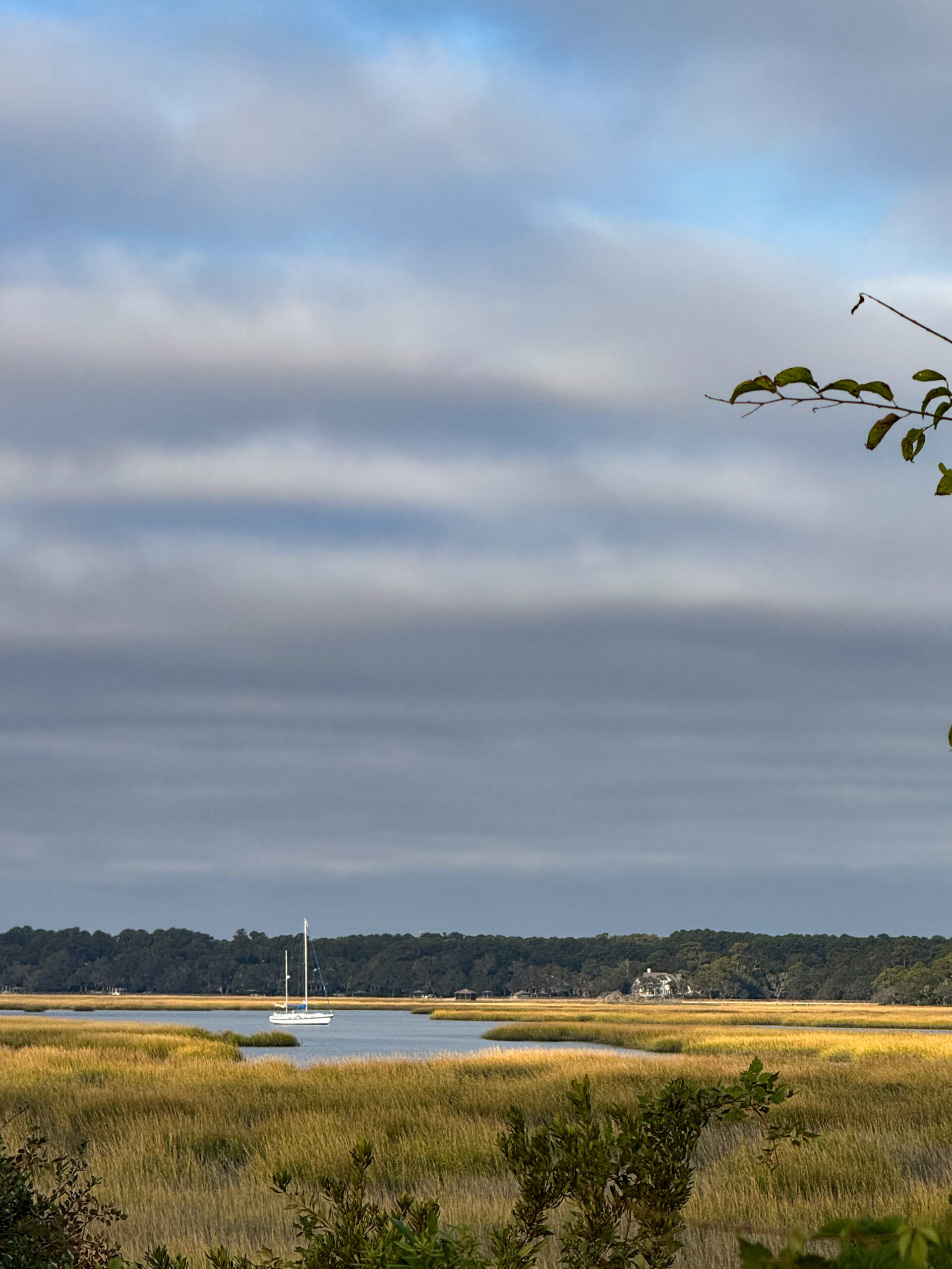 sailboat in coastal marsh under cloudy sky artist reference photo
