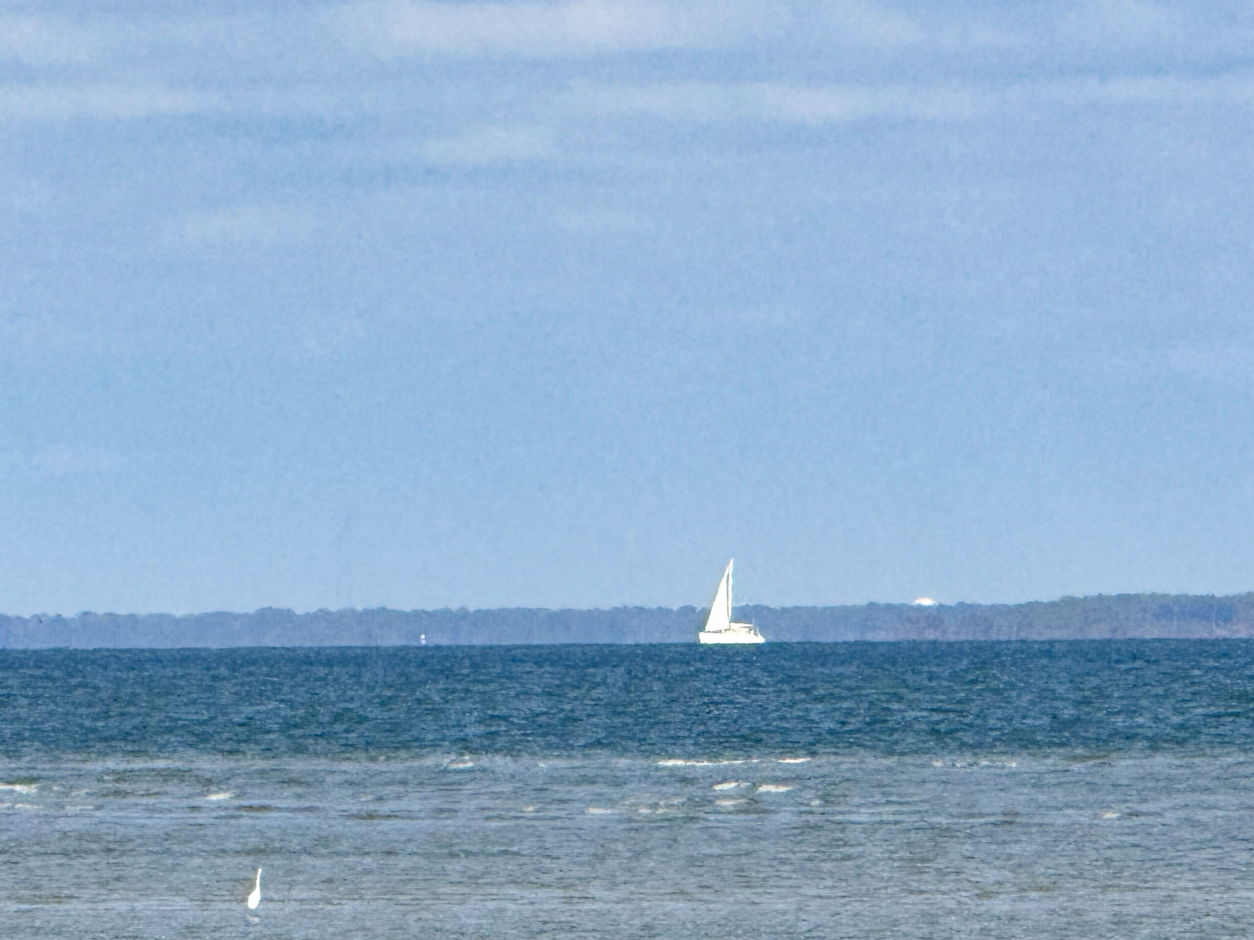 sailboat on blue ocean with distant shoreline and white egret artist reference photo