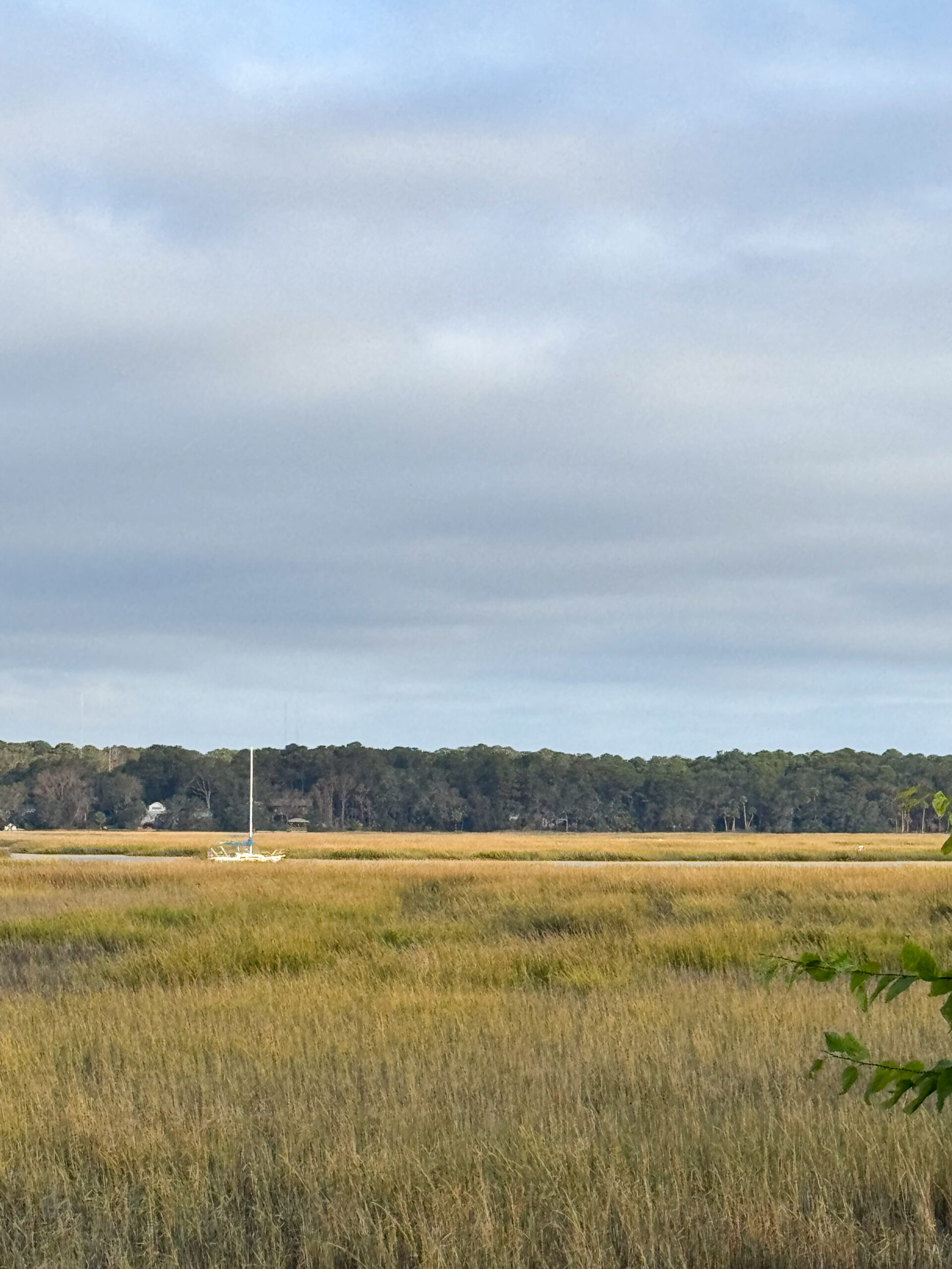 sailboat on coastal marsh with golden grass and cloudy sky artist reference photo