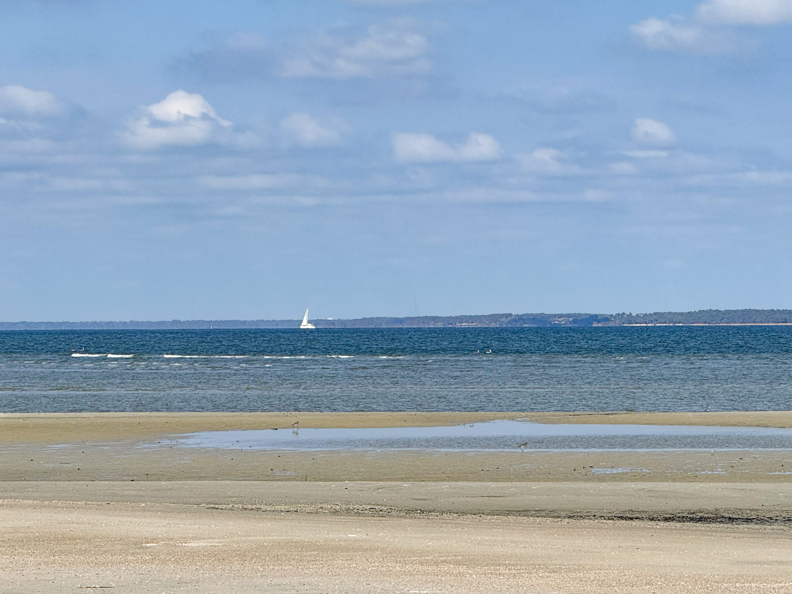 sailboat on horizon with shallow beach tide pools artist reference photo