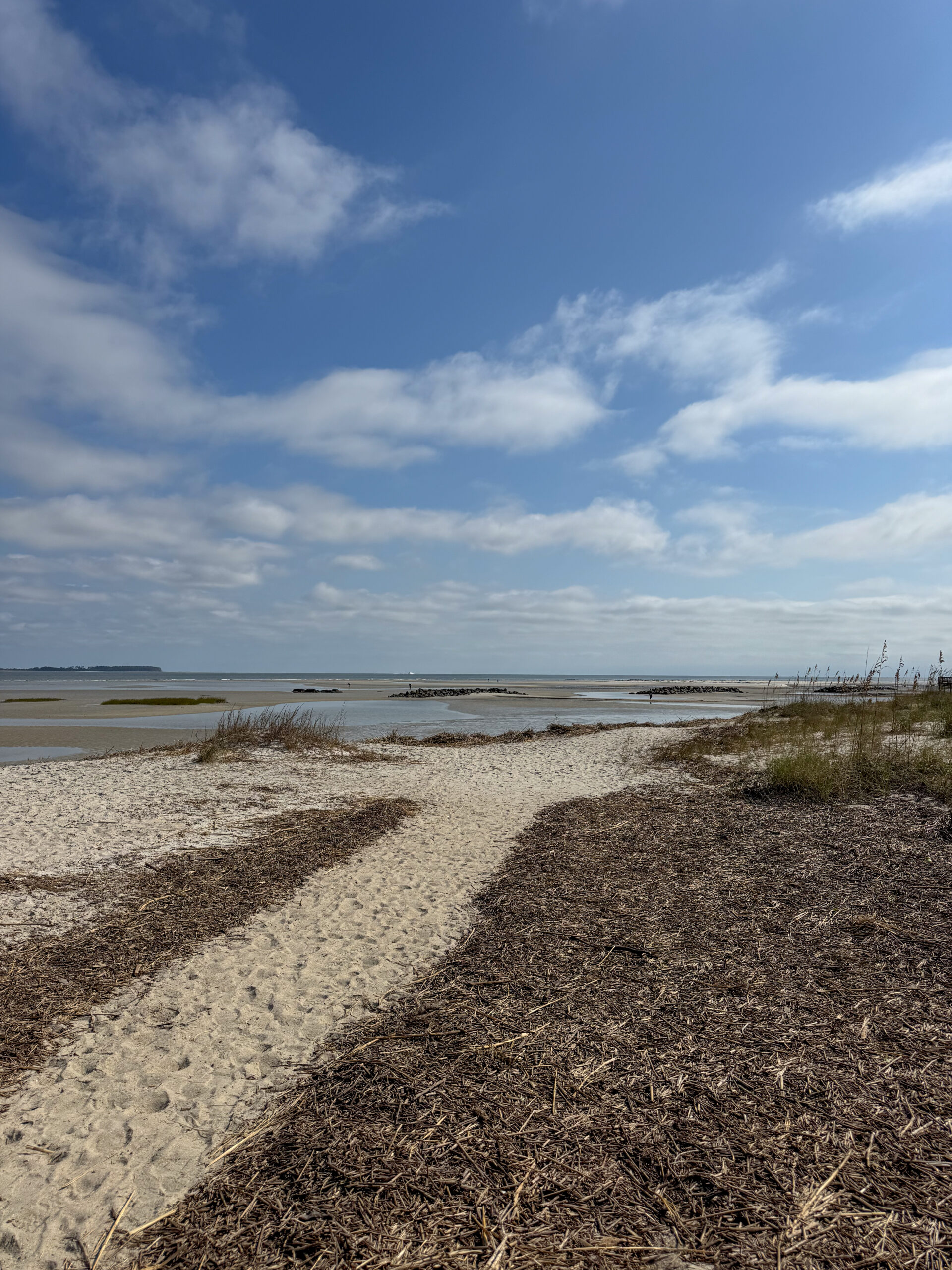 sandy beach path leading to ocean inlet with cloudy sky artist reference photo