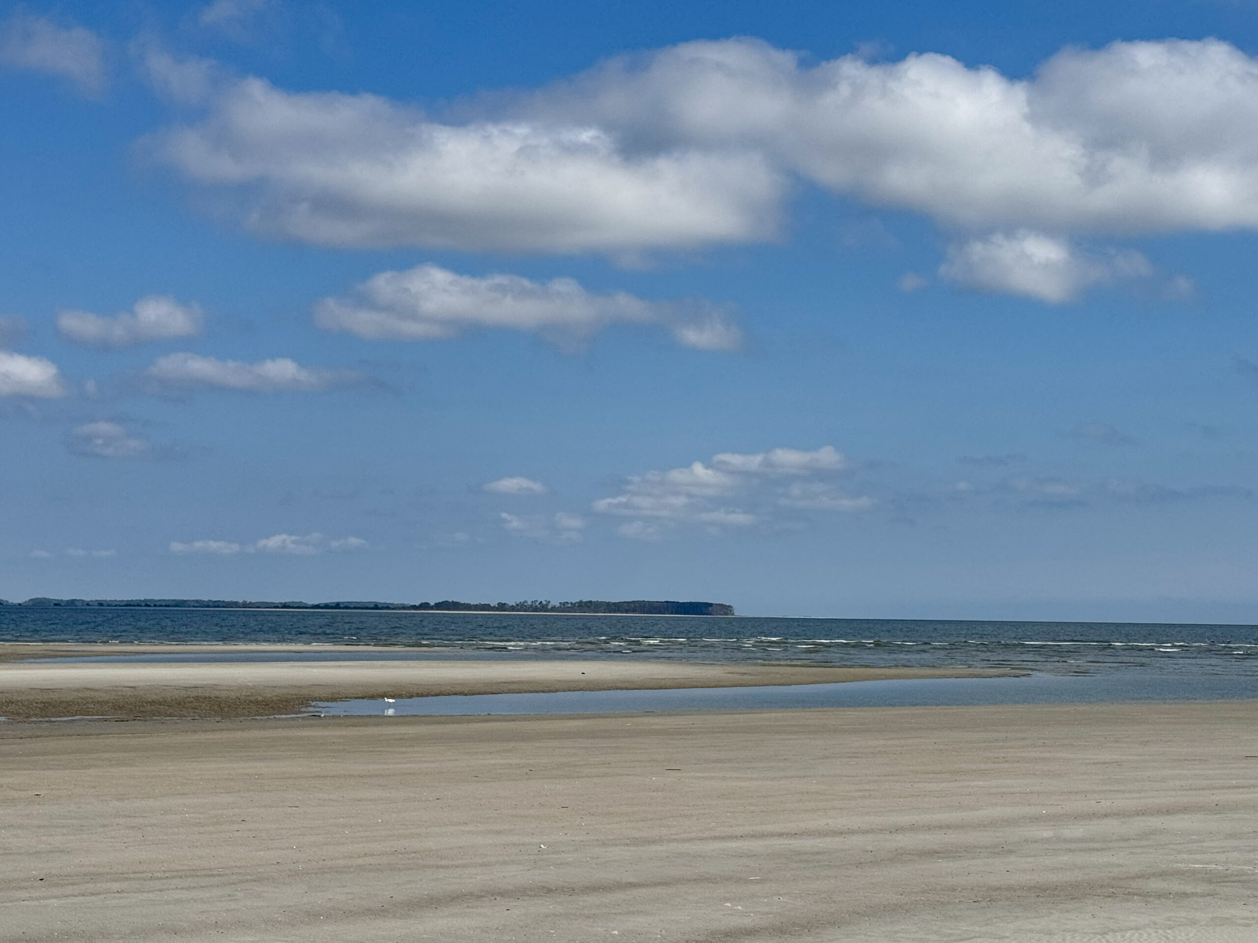 sandy beach with tidal pools and distant tree line artist reference photo