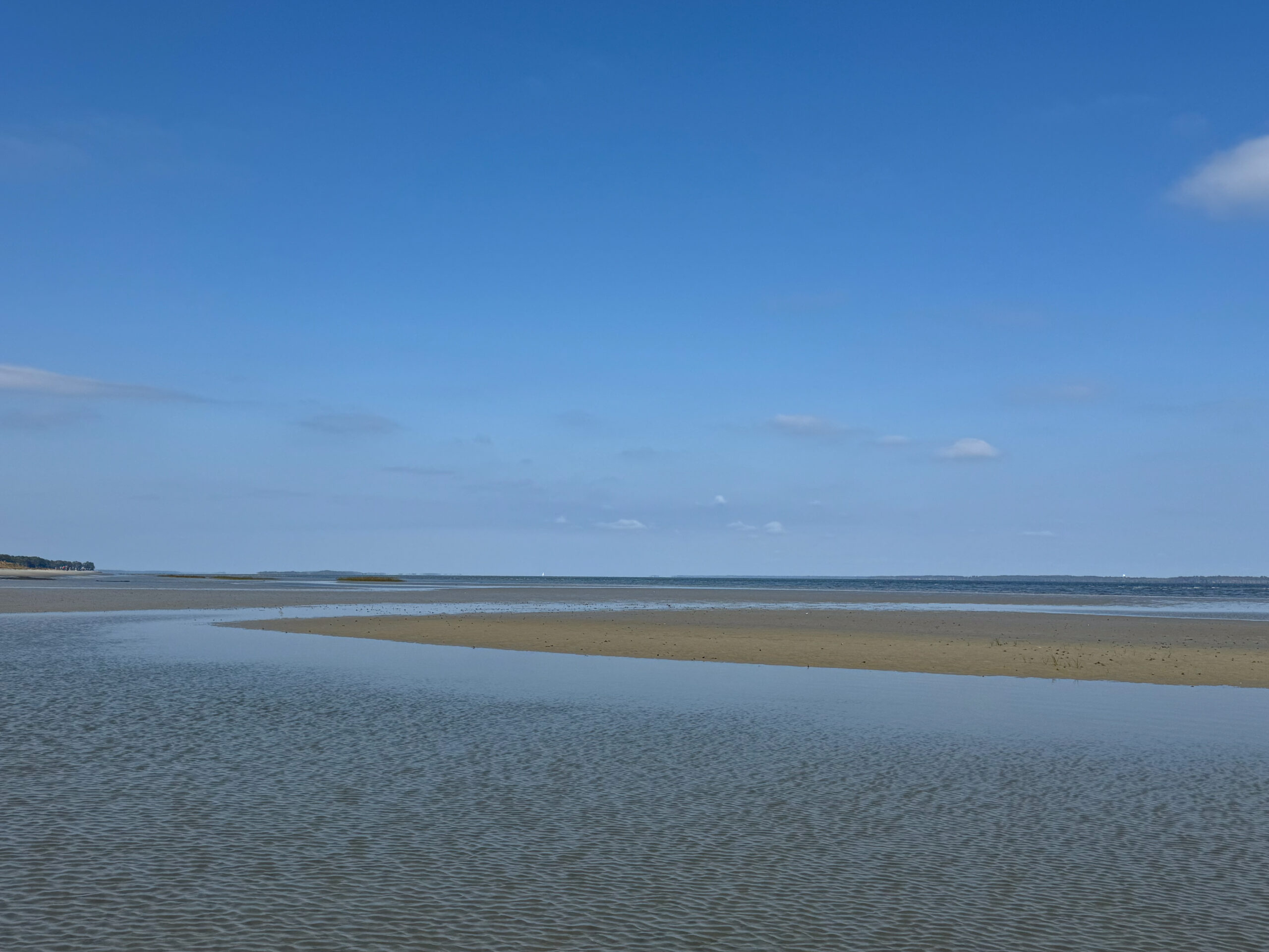 tidal inlet with rippling water and exposed sandbar under blue sky artist reference photo