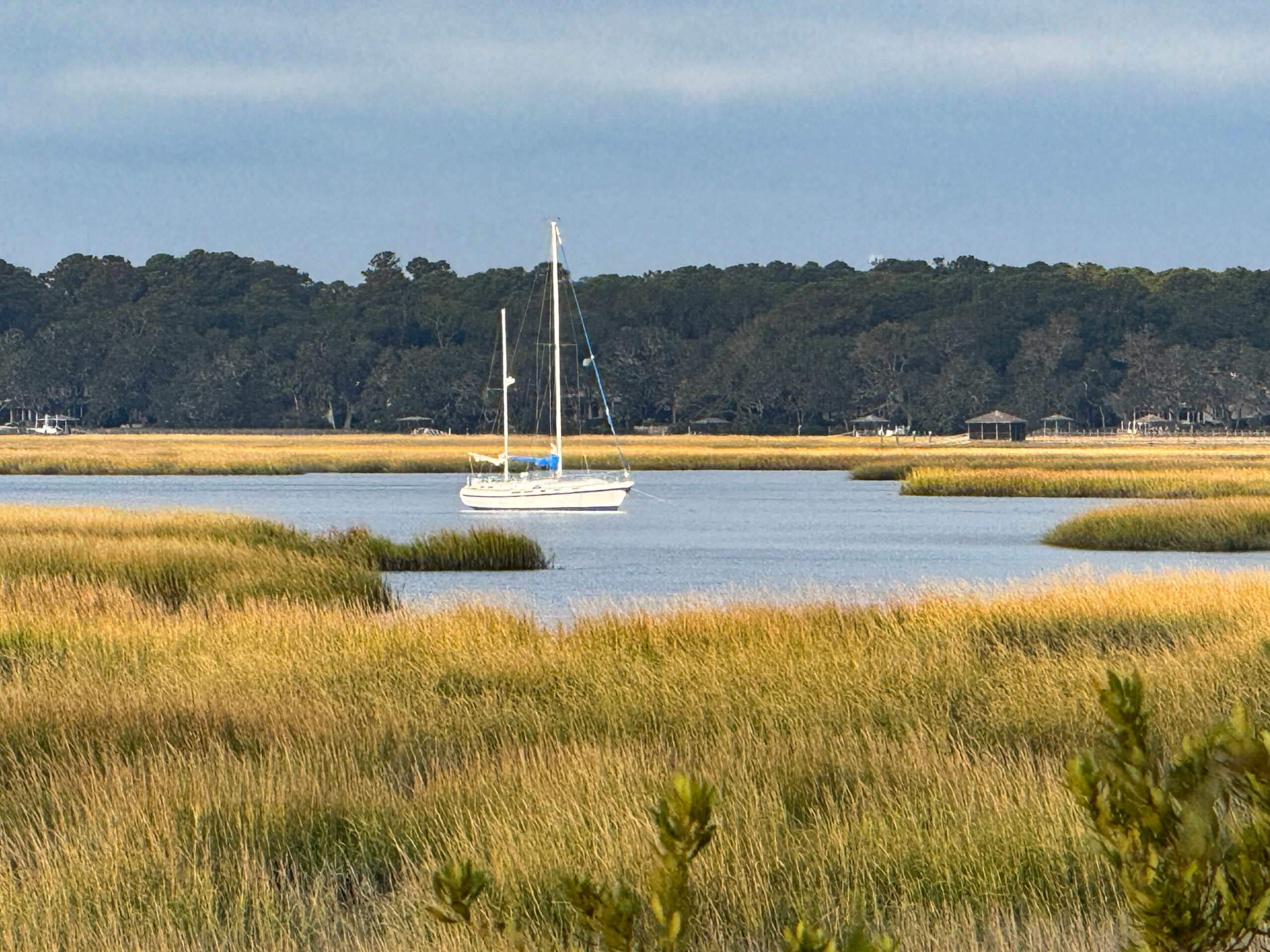 white sailboat in calm marsh water with golden reeds artist reference photo