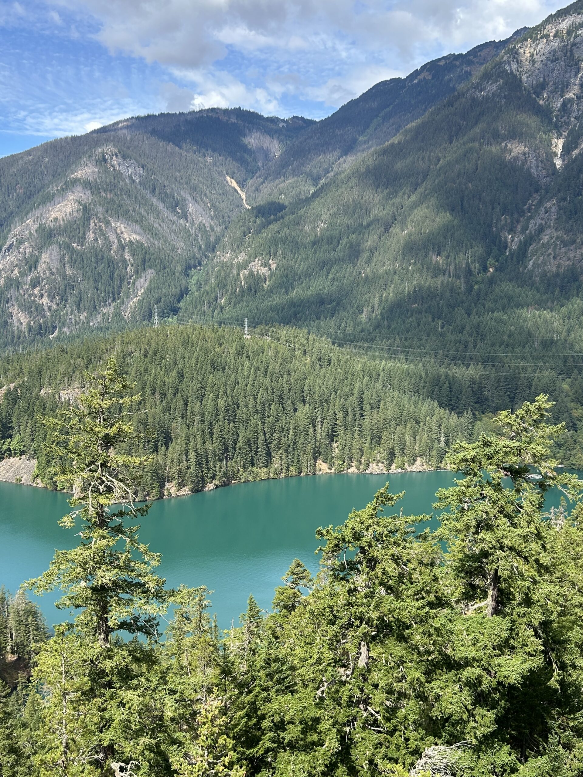 Evergreen Forest Above a Turquoise Mountain Lake – artist reference photo