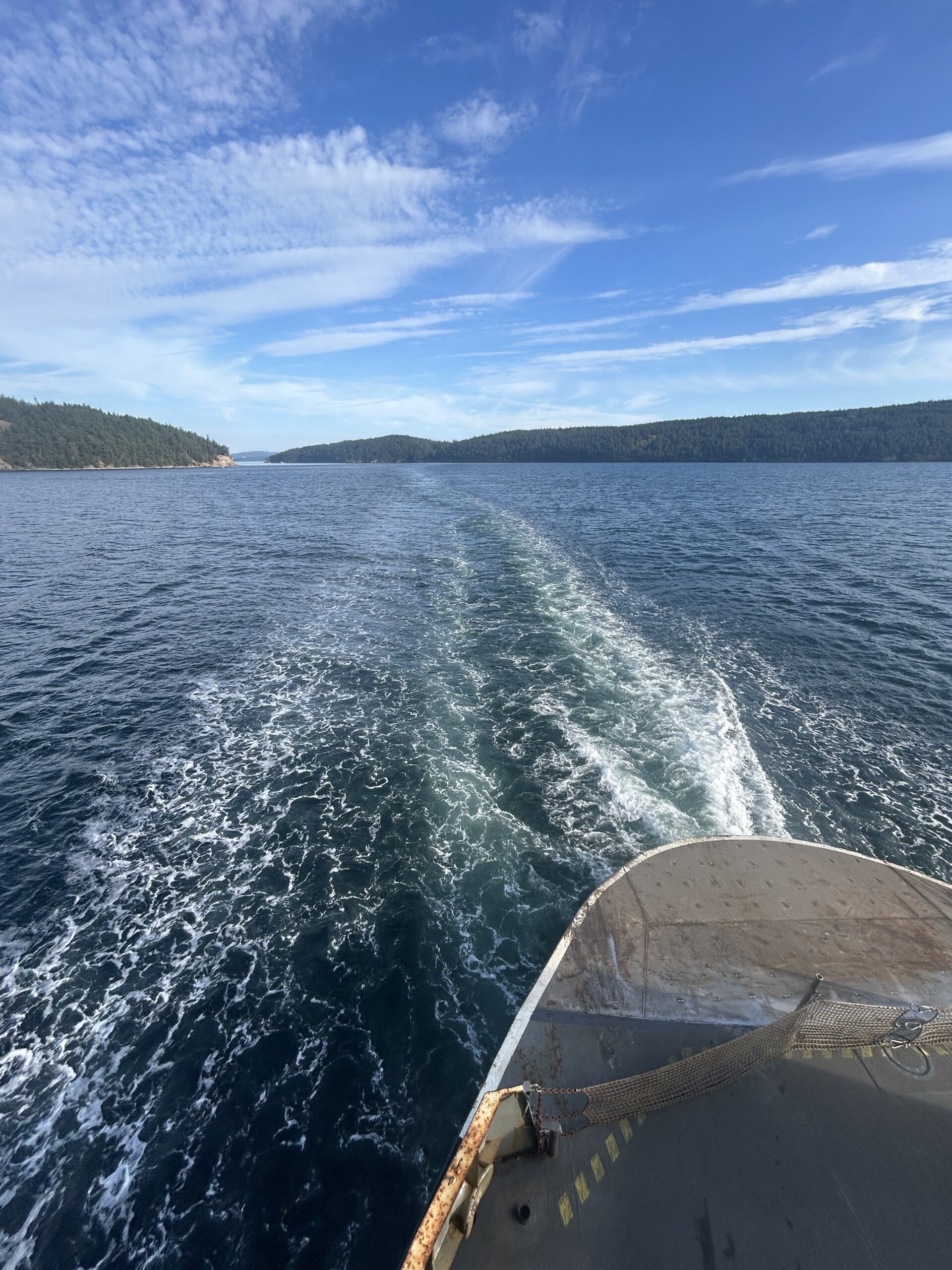 Ferry Wake Through the San Juan Islands – artist reference photo