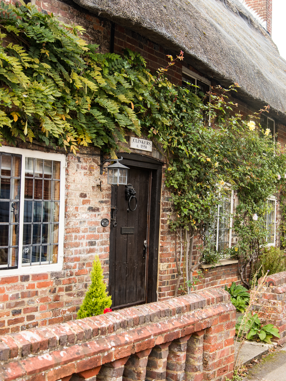 Historic Thatched Cottage Doorway with Climbing Roses artist reference photo