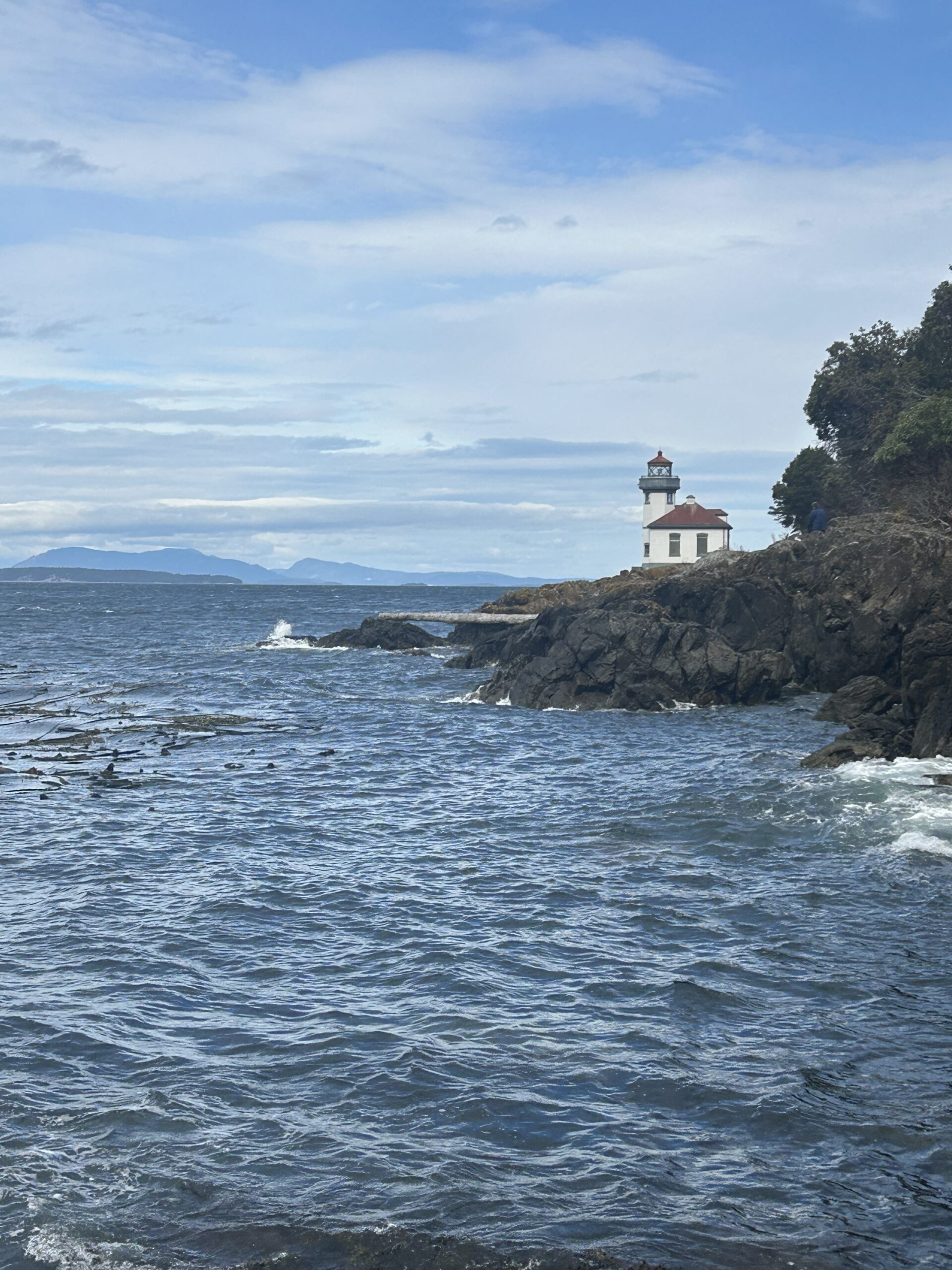 Lime Kiln Lighthouse Across the Water – artist reference photo