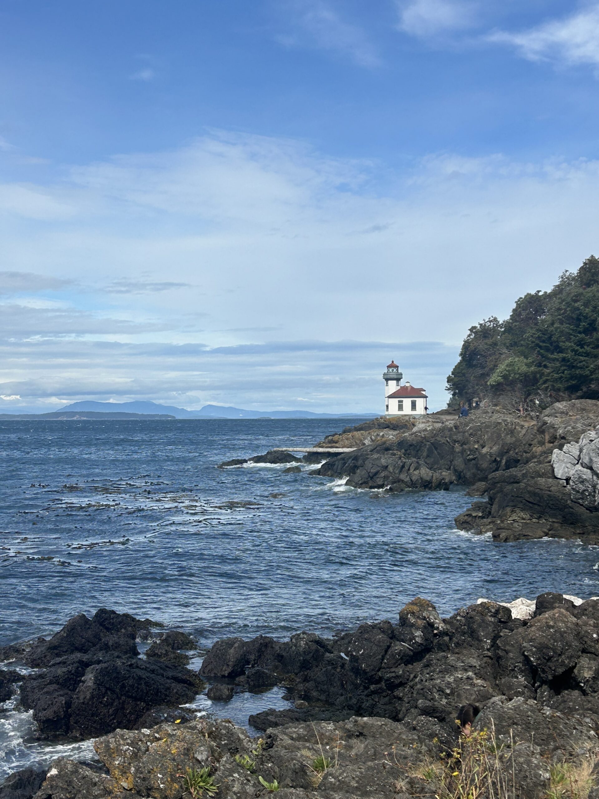 Lime Kiln Lighthouse on Rocky Coast – artist reference photo