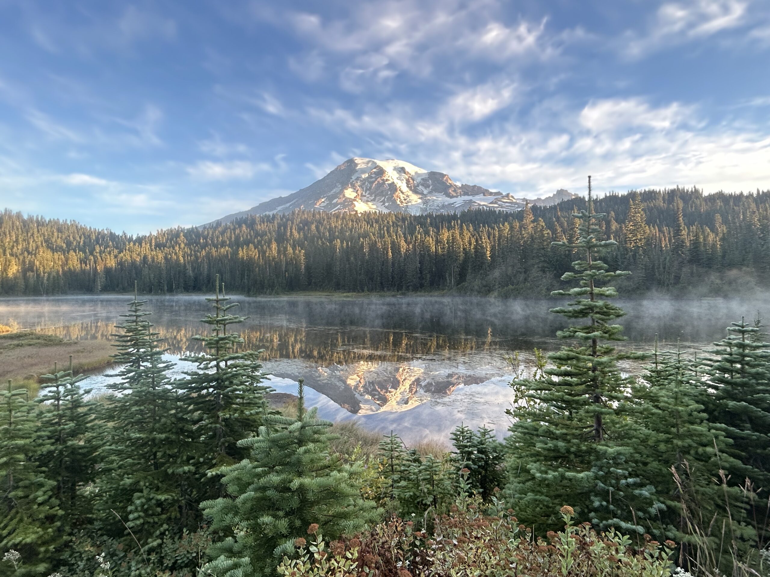 Mount Rainier and Evergreen Trees Reflected in Lake – artist reference photo