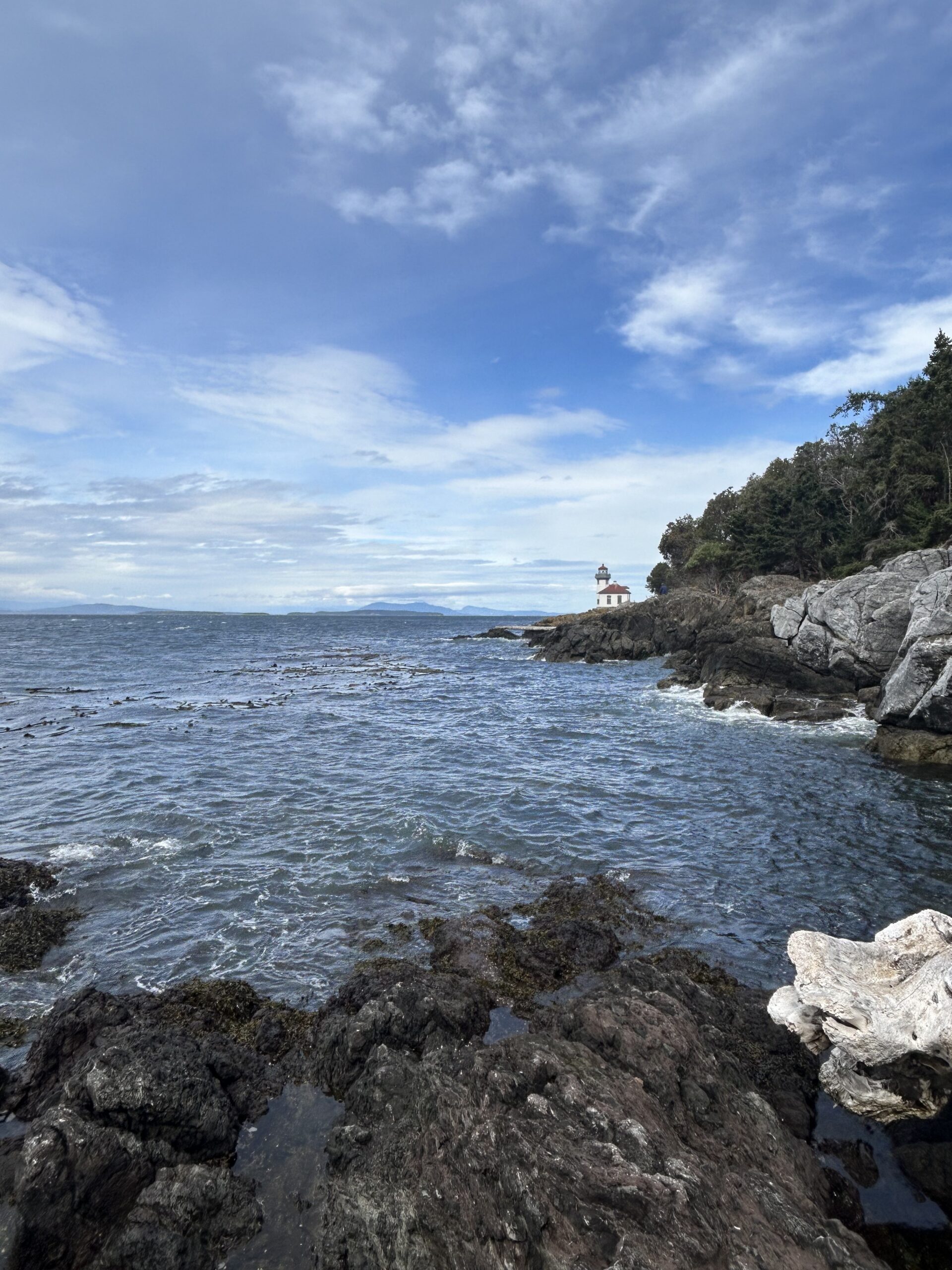 Rocky Coast and Lime Kiln Lighthouse – artist reference photo