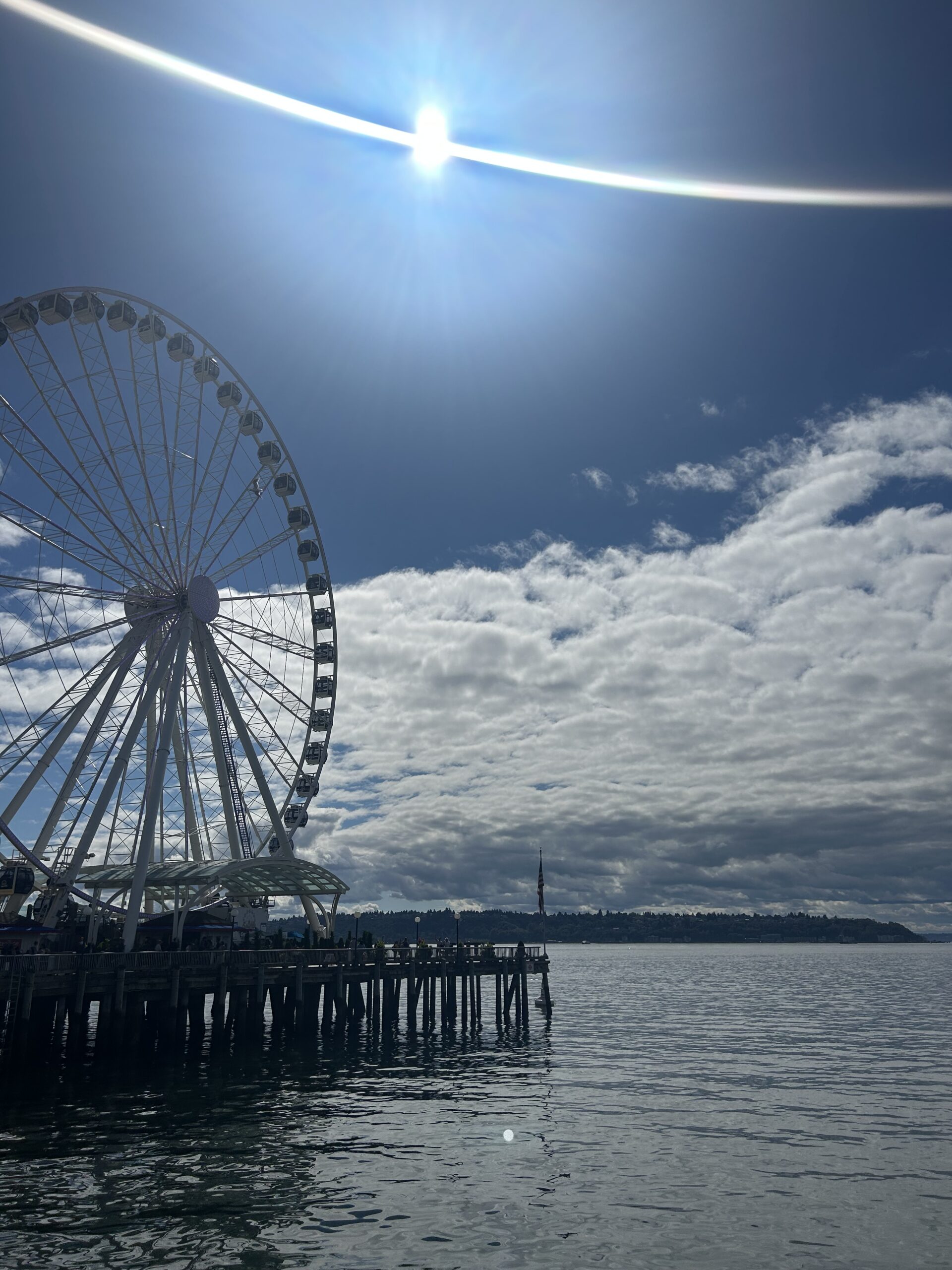 Seattle Great Wheel on the Waterfront – artist reference photo