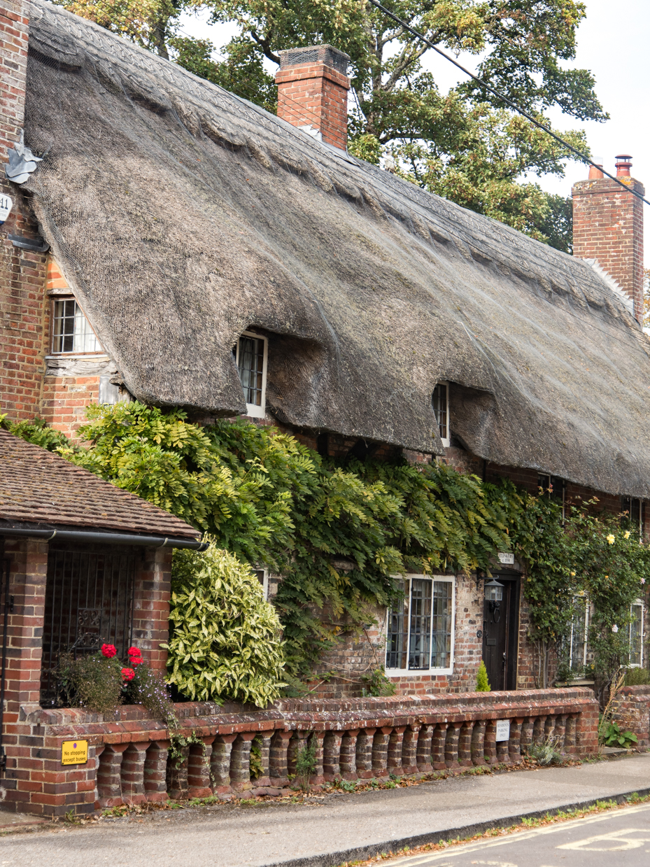 Thatched Cottage Exterior with Dormer Windows and Greenery artist reference photo