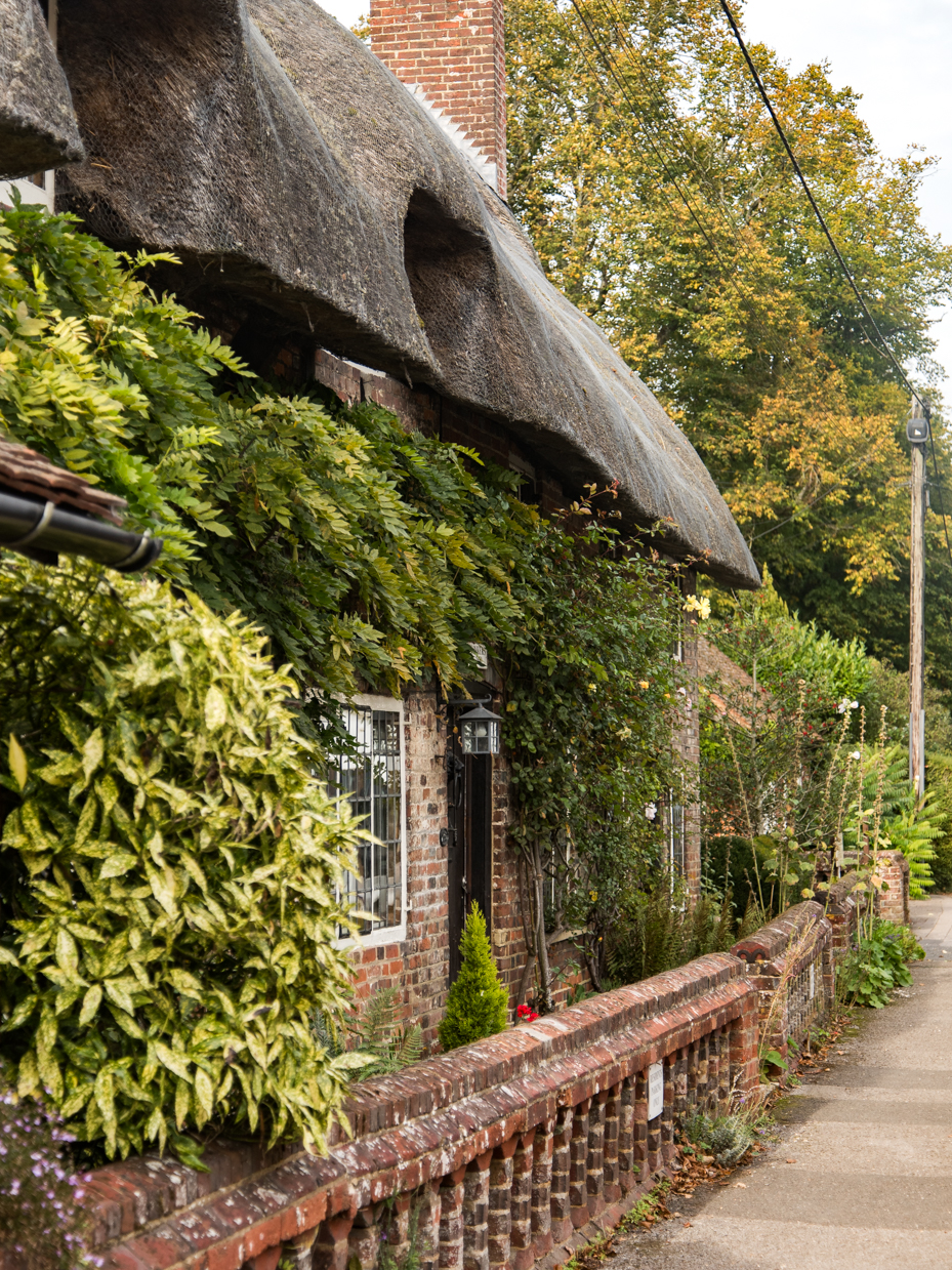Thatched Roof English Cottage with Brick Wall and Garden Path artist reference photo