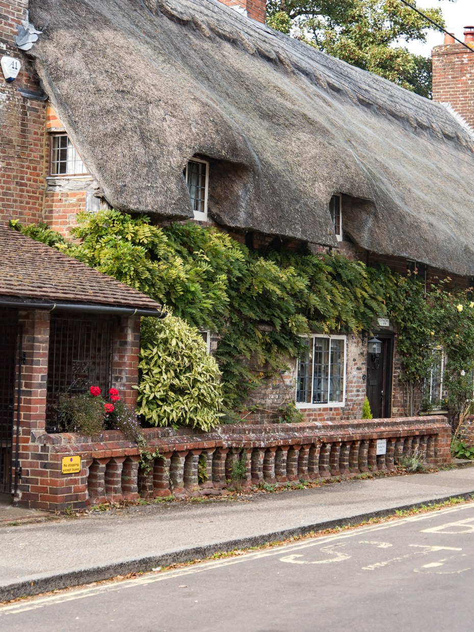 Traditional English Thatched Roof Cottage with Ivy Covered Brick Wall artist reference photo