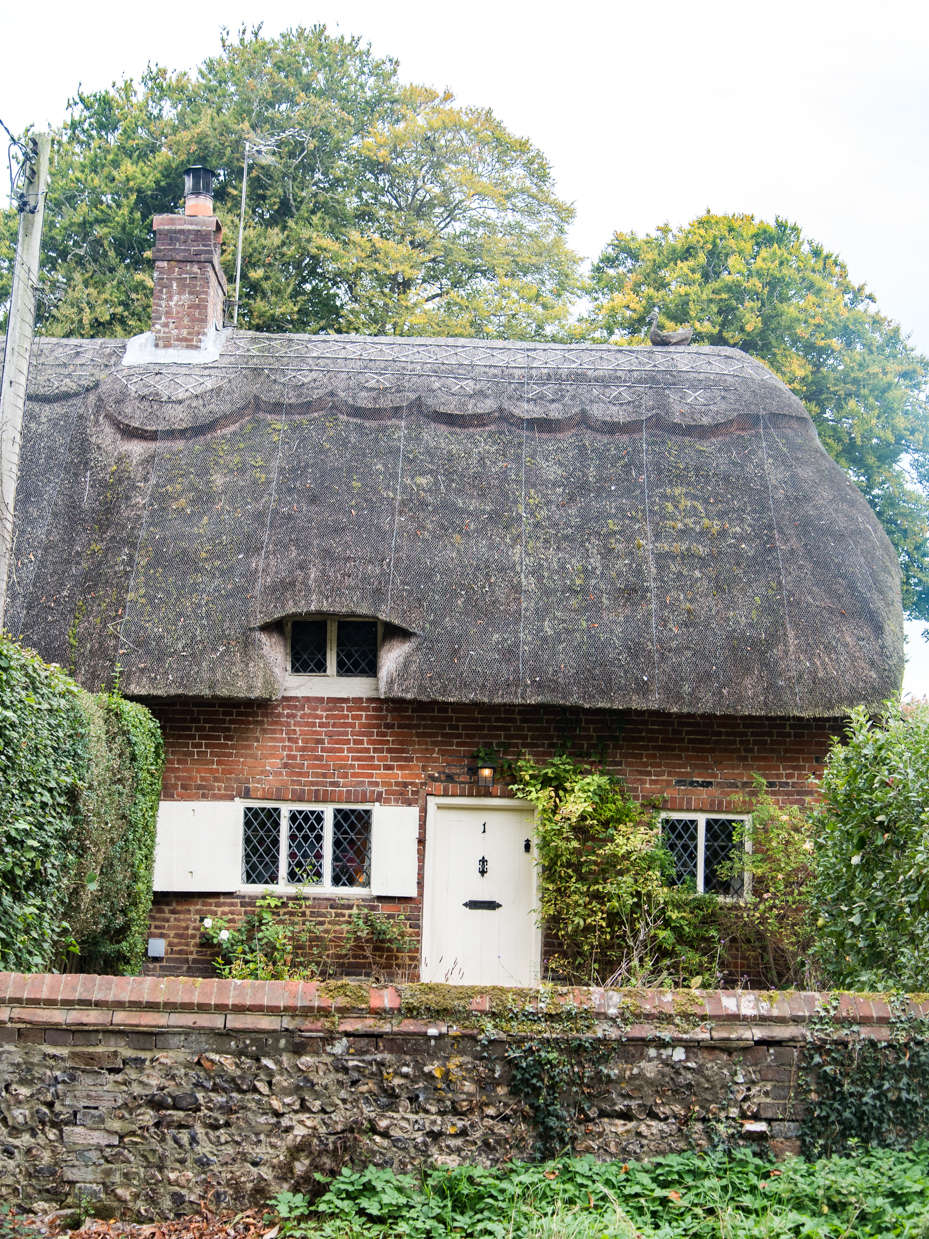 Traditional Thatched Roof Cottage With Brick Walls artist reference photo
