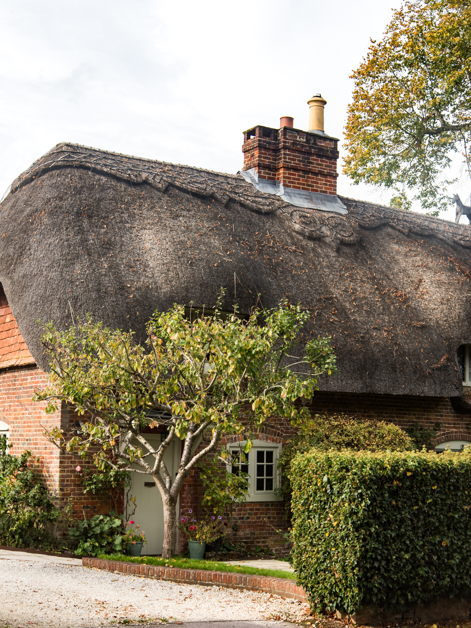 Traditional Thatched Roof Cottage with Tree and Chimney artist reference photo