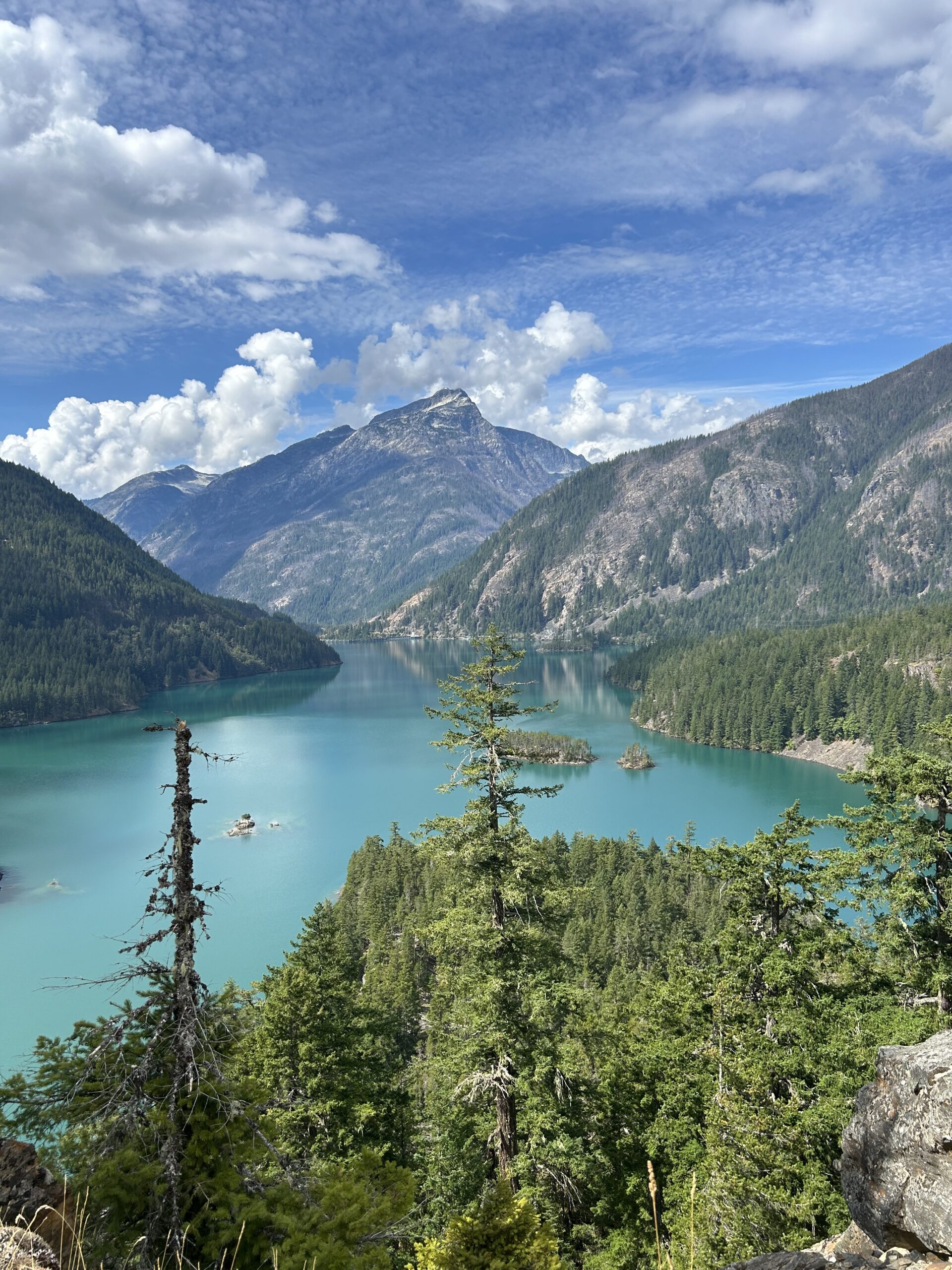 Turquoise Mountain Lake and Forested Islands – artist reference photo